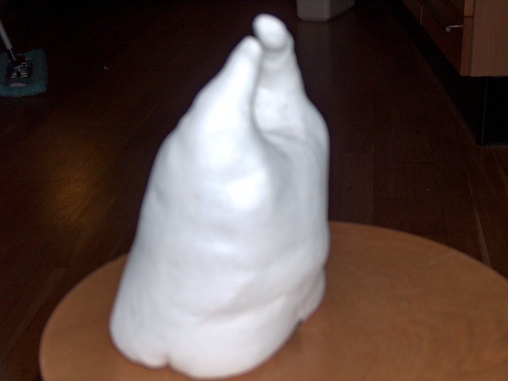 2009-12 (dec) surprise kevin